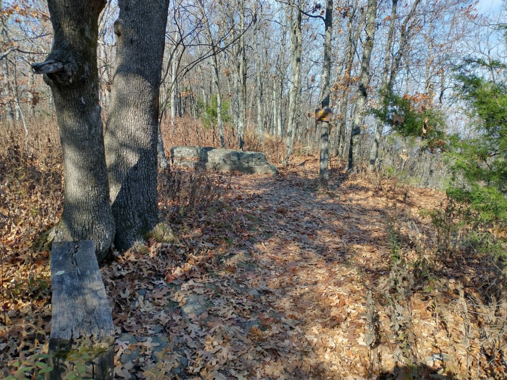 img_20231125_131829859_hdr.jpg