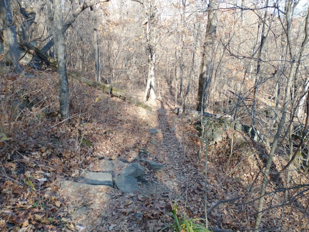 img_20231125_132211579.jpg