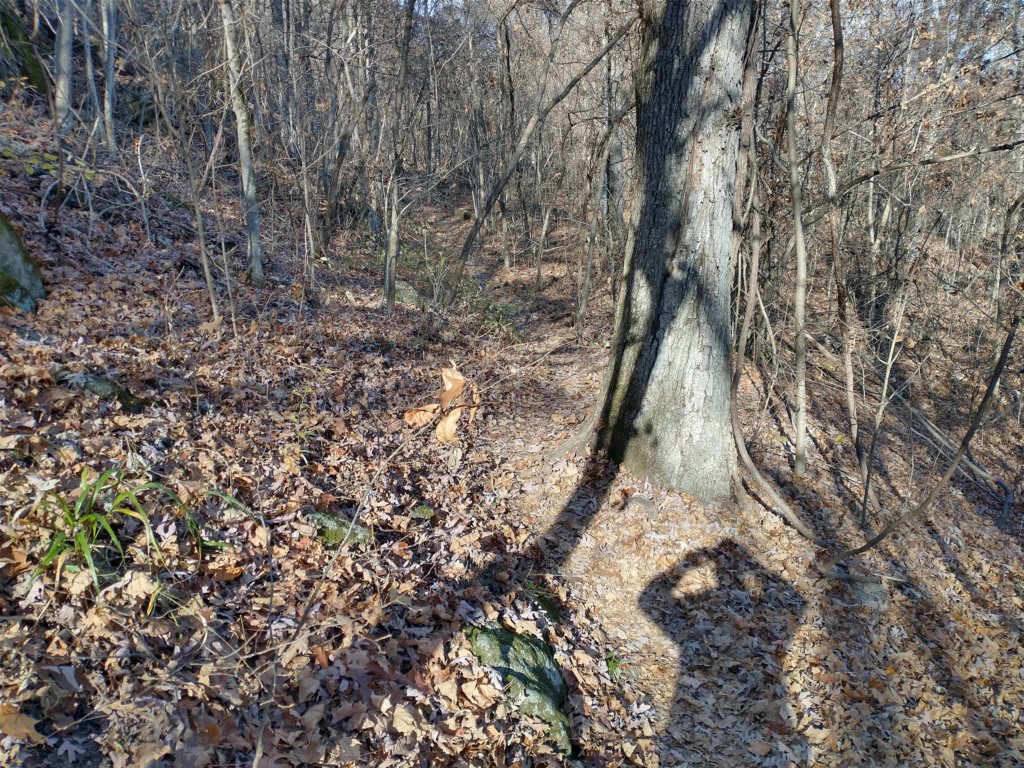 img_20231125_132250033_hdr.jpg