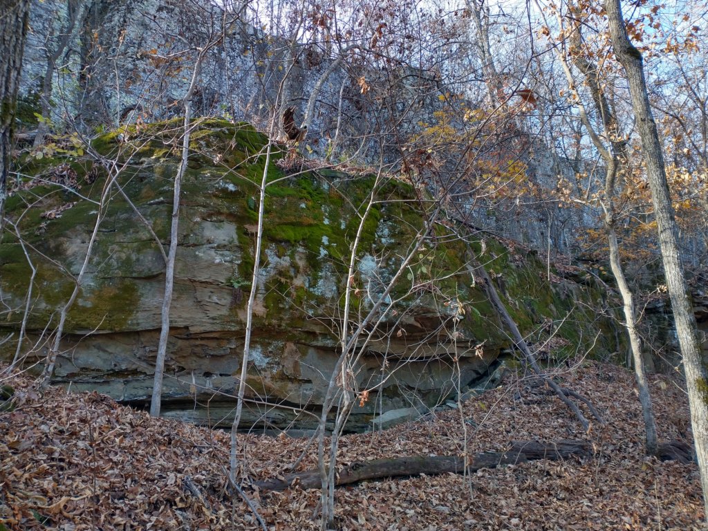 img_20231125_132356027_hdr.jpg