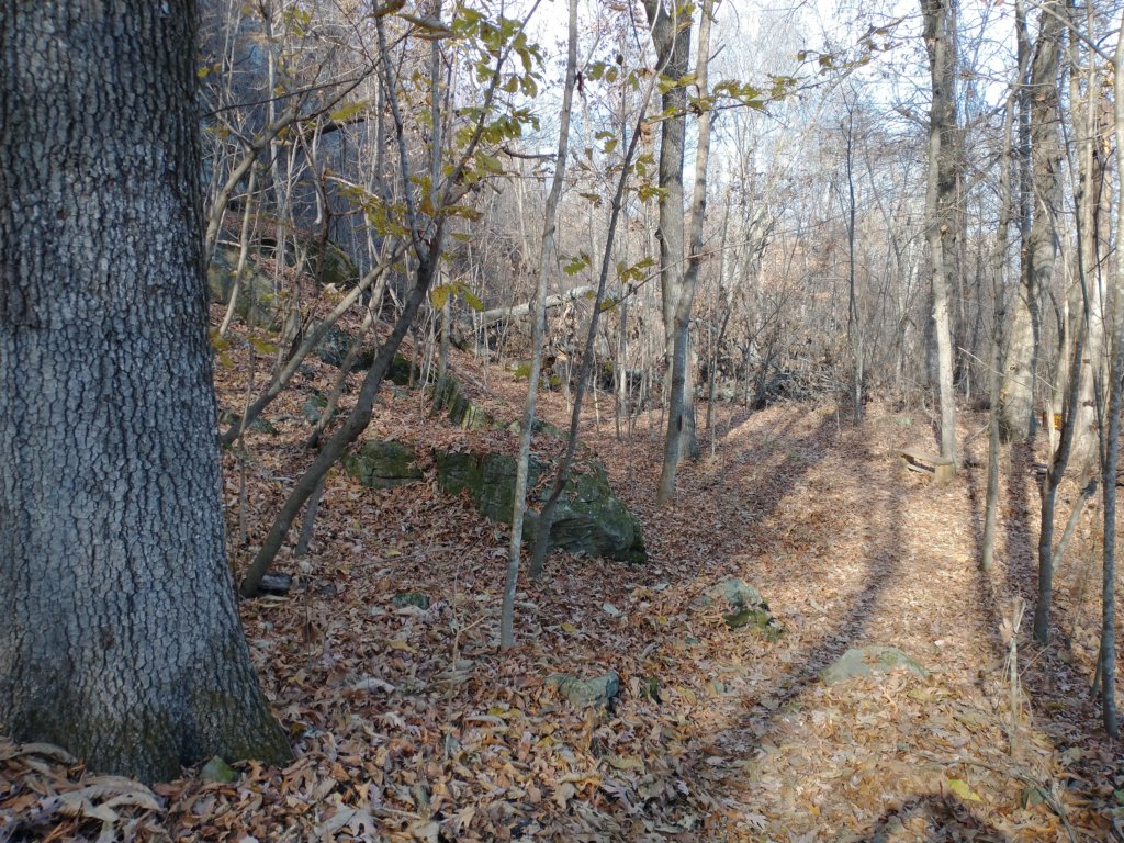 img_20231125_132722232.jpg