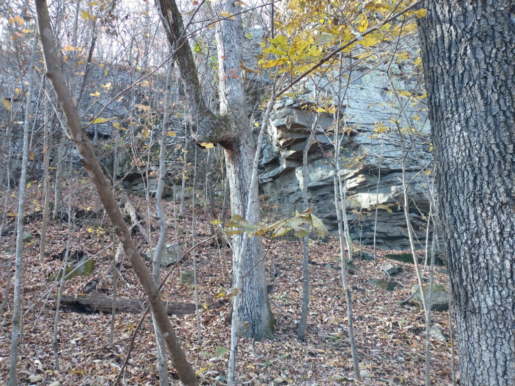 img_20231125_132728761.jpg