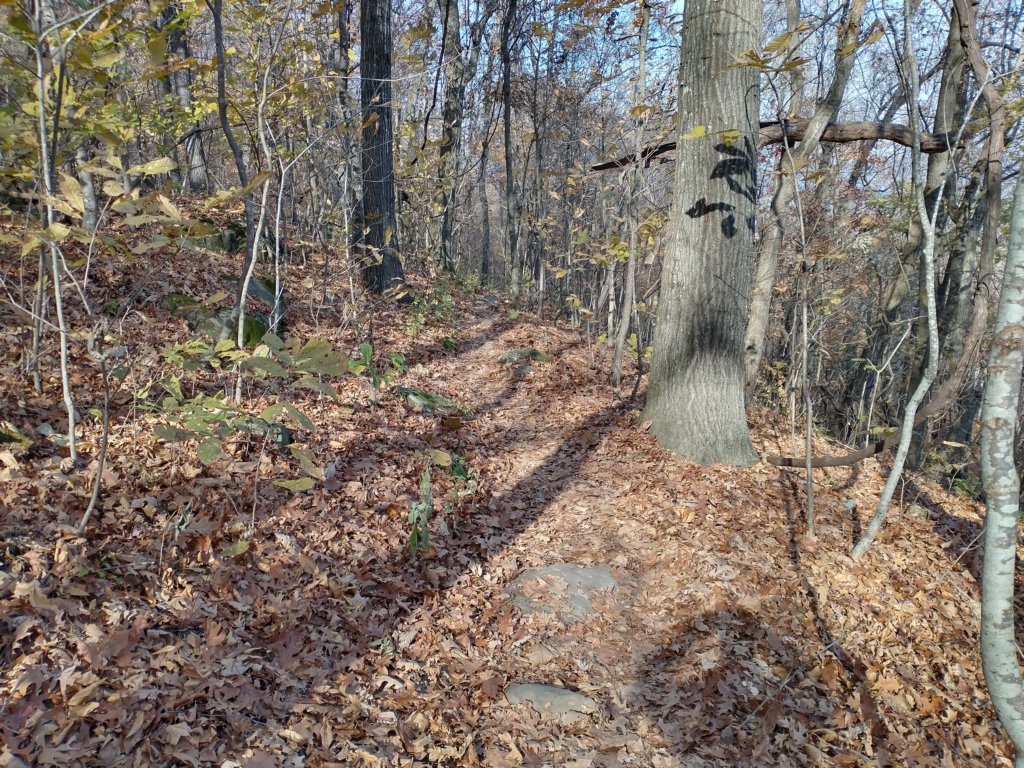 img_20231125_133034978_hdr.jpg