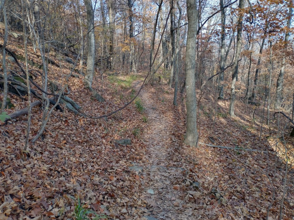 img_20231125_133136660_hdr.jpg