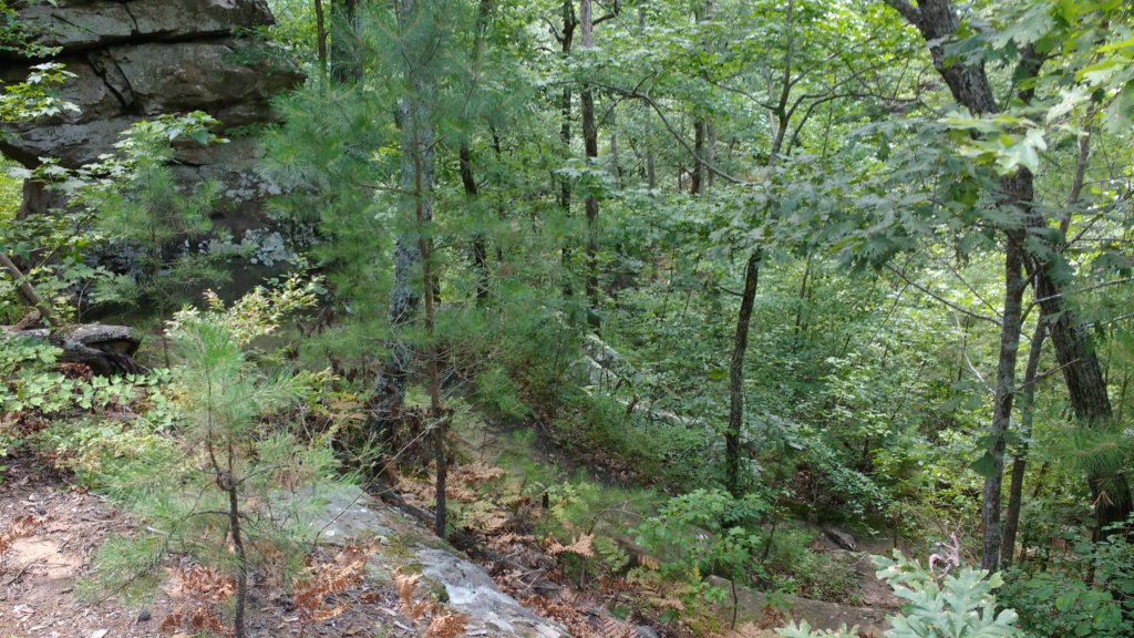 img_20170715_145340639.jpg