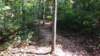 img_20171014_132053412_small.jpg