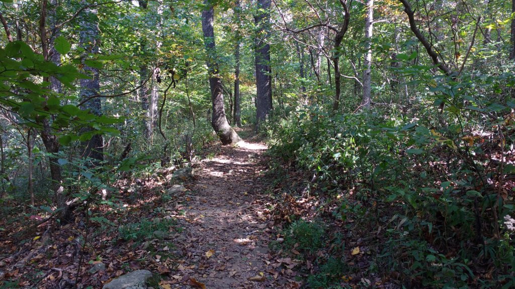 img_20171014_132122492.jpg
