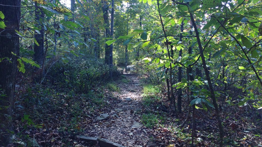img_20171014_132334502.jpg