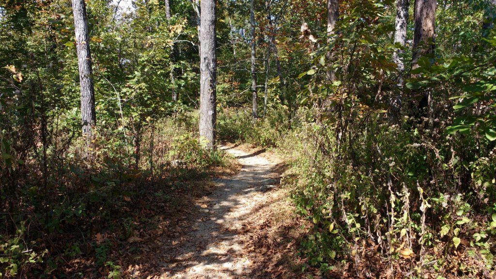 img_20171014_132833413.jpg