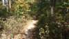 img_20171014_132953917_small.jpg