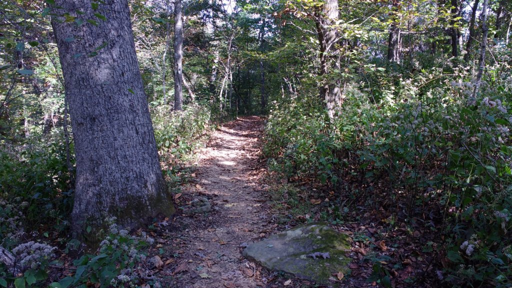 img_20171014_133112591.jpg