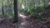 img_20171014_133210150_small.jpg