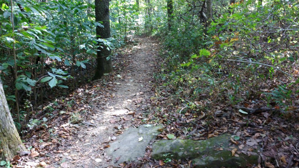 img_20171014_133341485.jpg