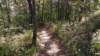 img_20171014_133620129_small.jpg
