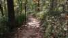 img_20171014_133717463_small.jpg