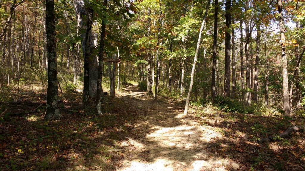 img_20171014_134749846.jpg