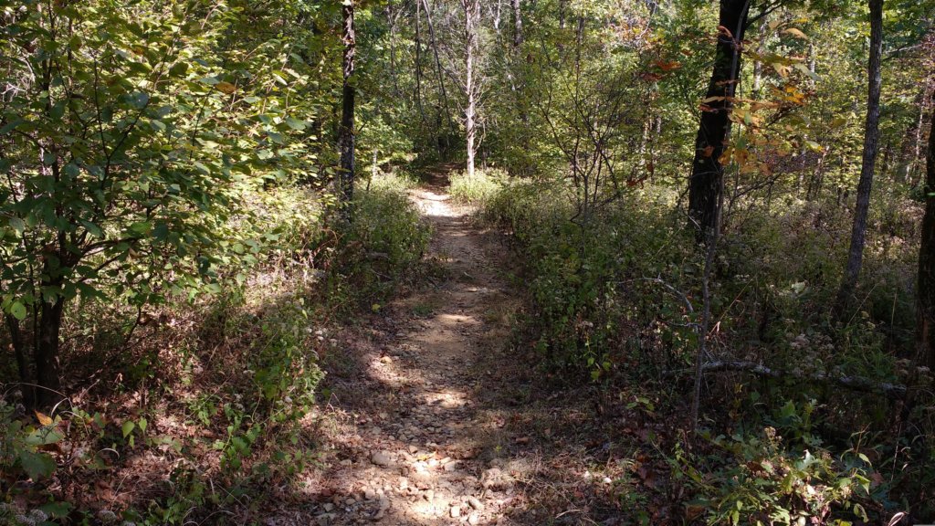 img_20171014_134847364.jpg