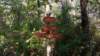 img_20171014_135114024_small.jpg