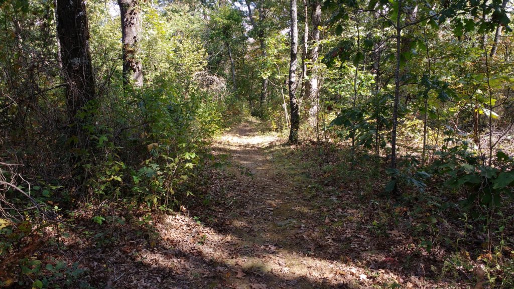 img_20171014_135123821.jpg