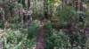 img_20171014_135319563_small.jpg