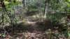 img_20171014_135349123_small.jpg
