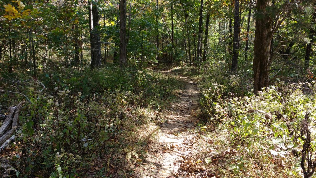 img_20171014_135422365.jpg