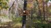 img_20171014_135510555_small.jpg