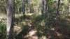 img_20171014_135749033_small.jpg