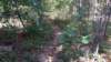 img_20171014_135842450_small.jpg