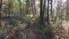 img_20171014_140139056_small.jpg