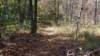 img_20171014_140251753_small.jpg