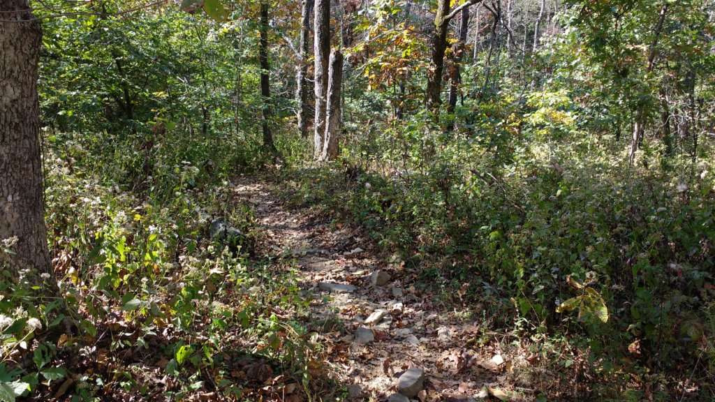 img_20171014_140341575.jpg