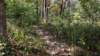 img_20171014_140341575_small.jpg