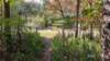 img_20171014_140438063_hdr_small.jpg