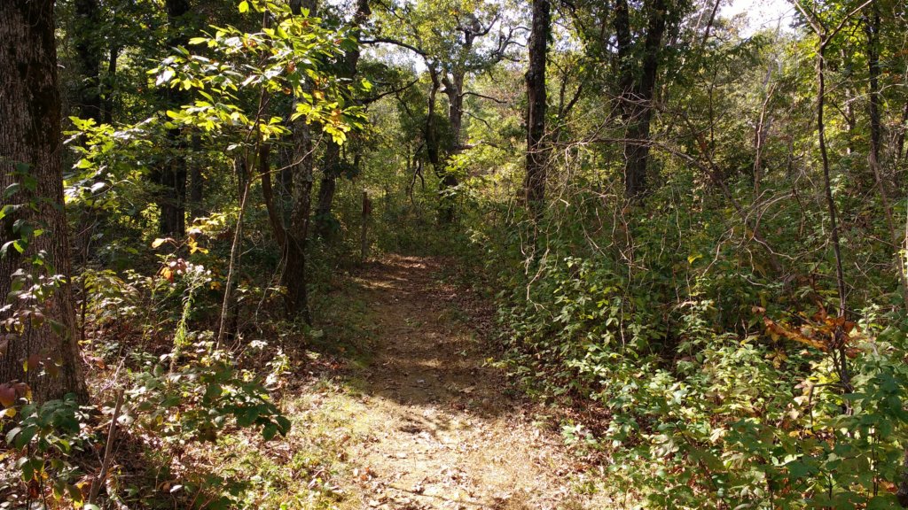 img_20171014_140856365.jpg