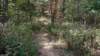 img_20171014_140939413_small.jpg