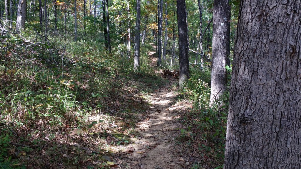 img_20171014_141114180.jpg