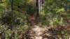 img_20171014_141328377_small.jpg