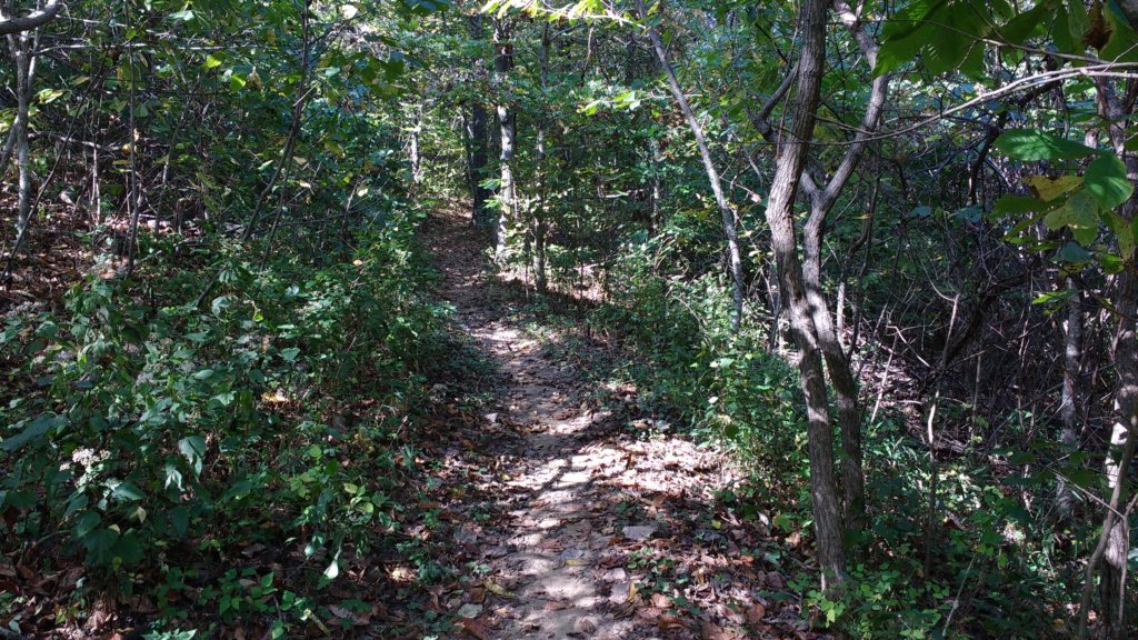 img_20171014_141528150.jpg