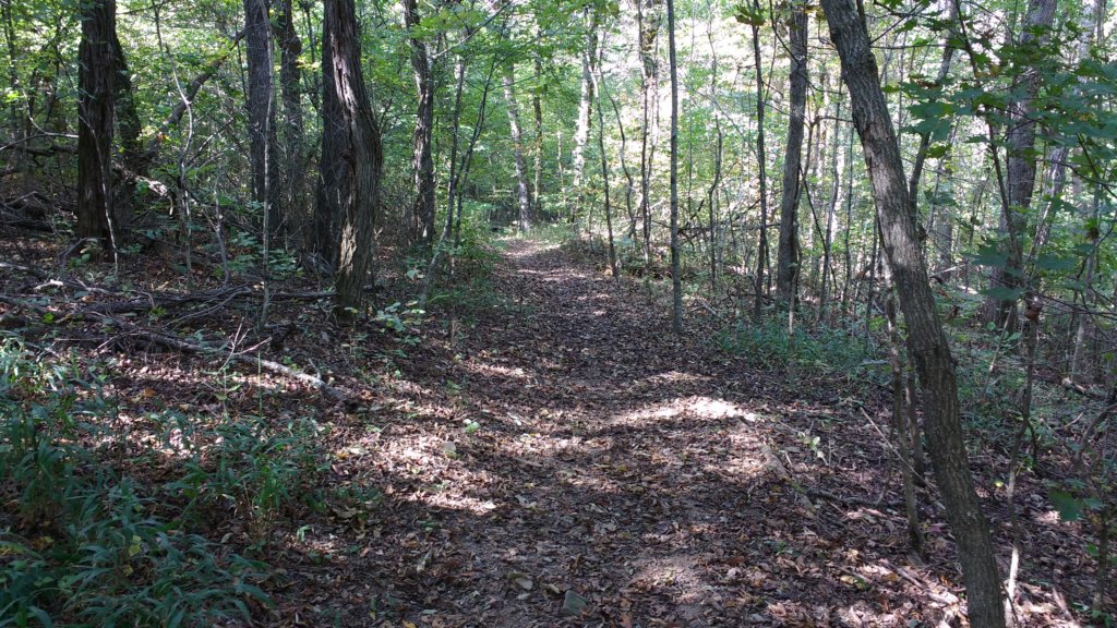 img_20171014_141659530.jpg