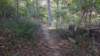 img_20171014_141814684_small.jpg