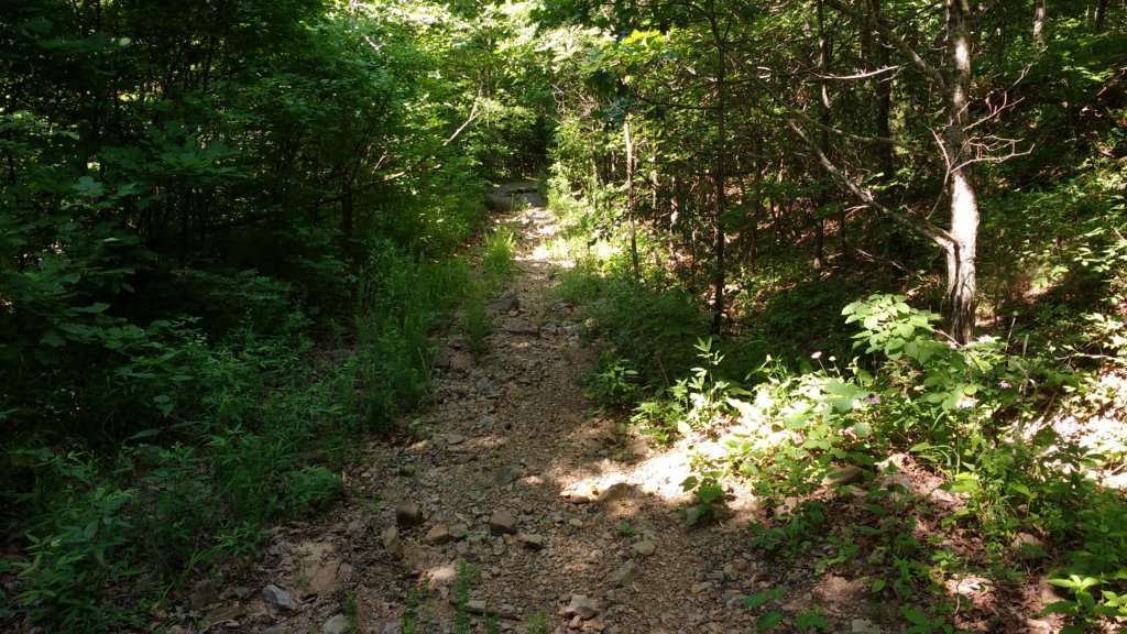 img_20180609_104238390.jpg