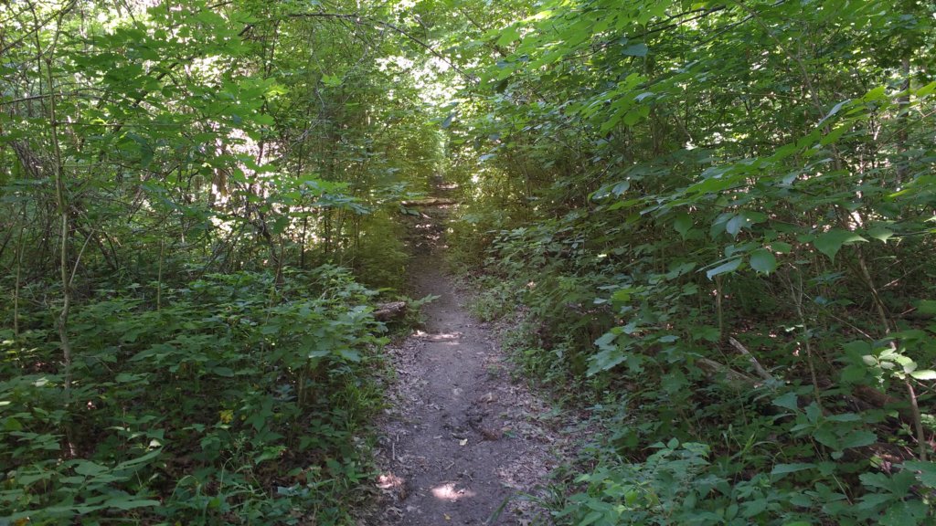 img_20180609_104735809.jpg