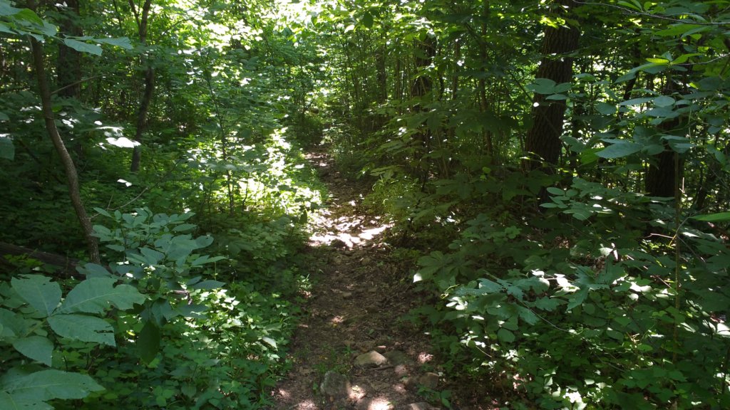 img_20180609_110438729.jpg
