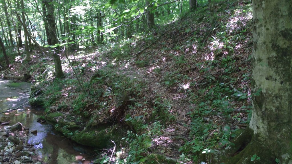 img_20180609_115008662.jpg