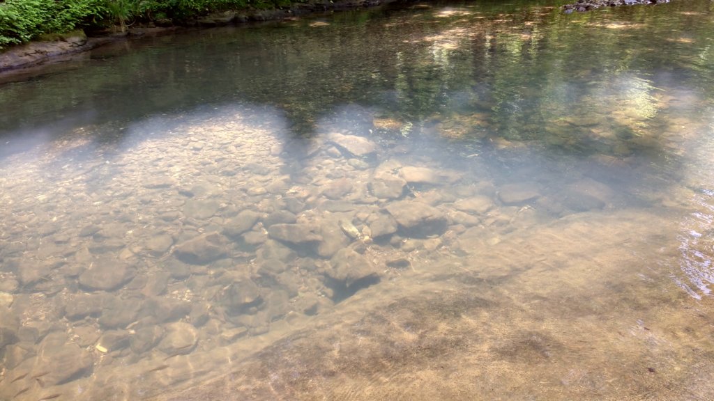 img_20180609_115334427_hdr.jpg