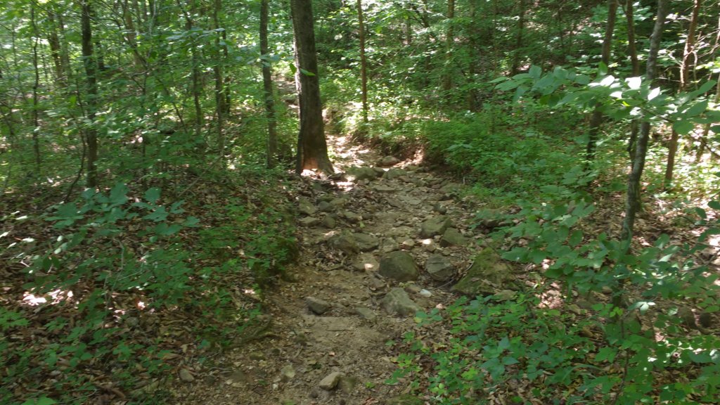 img_20180609_121032152.jpg