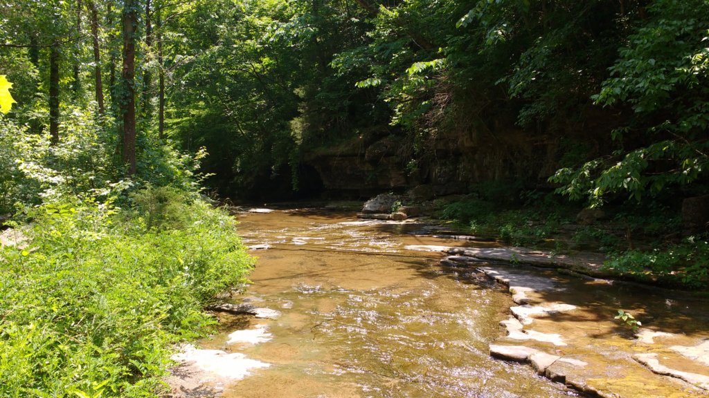 img_20180609_121525172.jpg
