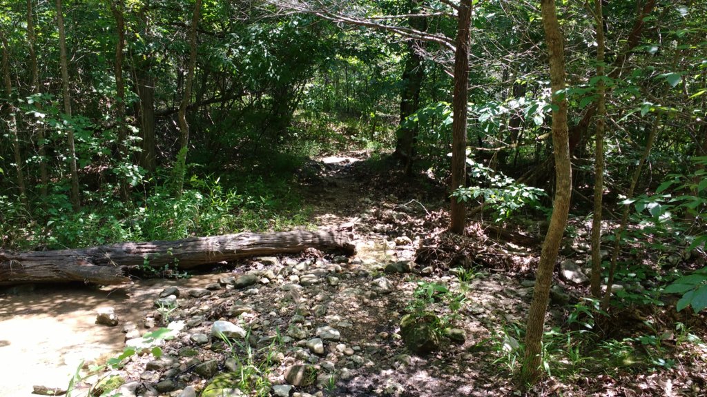 img_20180609_122621731.jpg