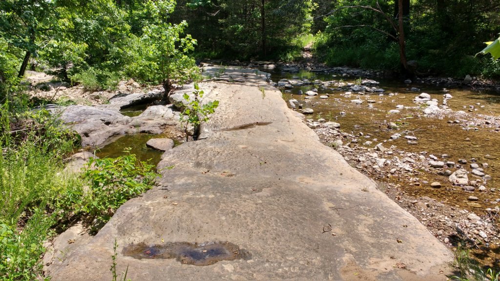 img_20180609_123239637_hdr.jpg